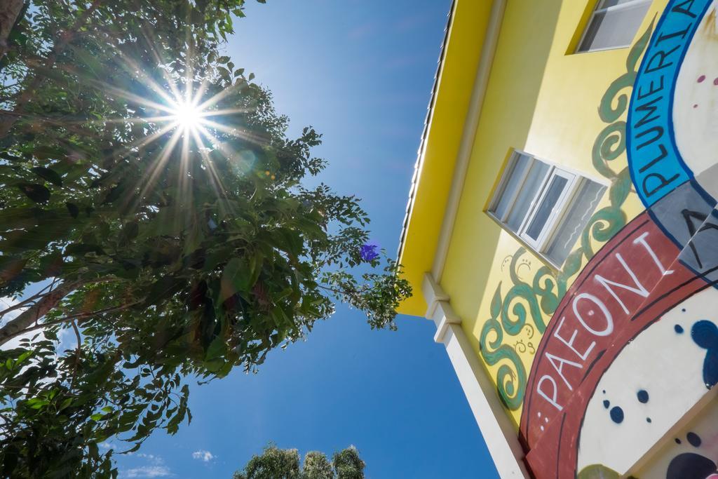 Straybirds Apartment Thị trấn Đông Hà Ngoại thất bức ảnh